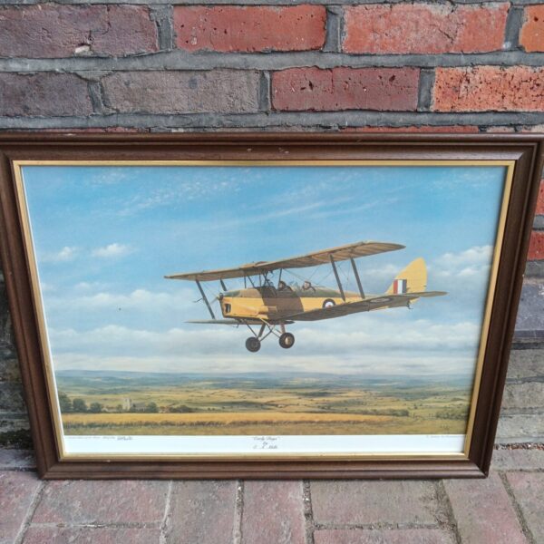 E A Mills limited edition print of a Tiger Moth aircraft titled Early Days.