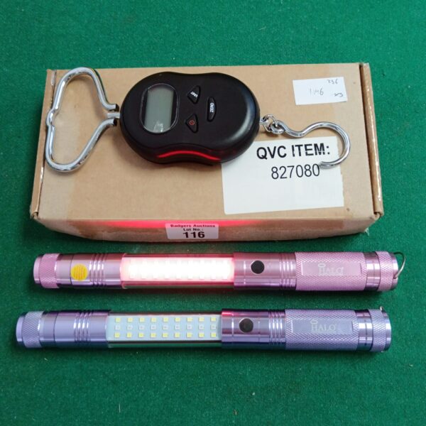 Halo LED torches and digital luggage scale for travel and emergencies.