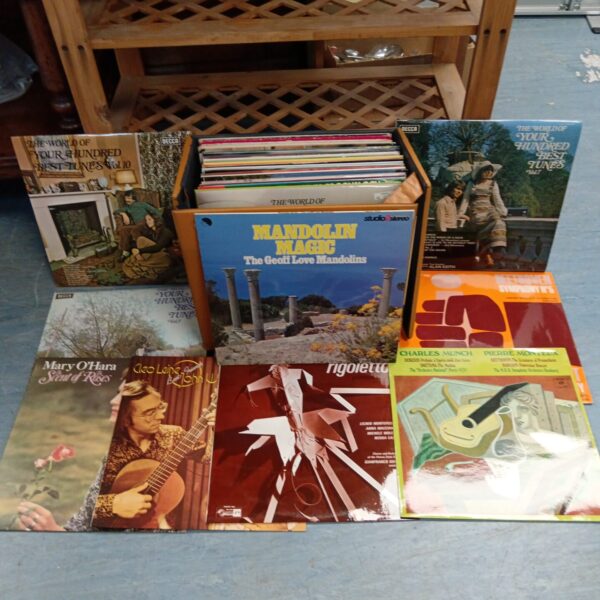 Assorted vintage vinyl records in a lot, showcasing a diverse collection.