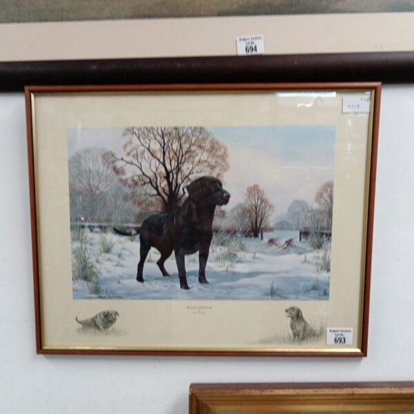 Framed Nigel Hemming print of a black Labrador in snow.