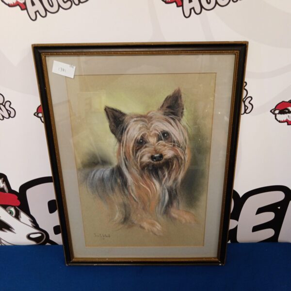 Vintage pastel study of a Yorkshire Terrier by Ursula White.