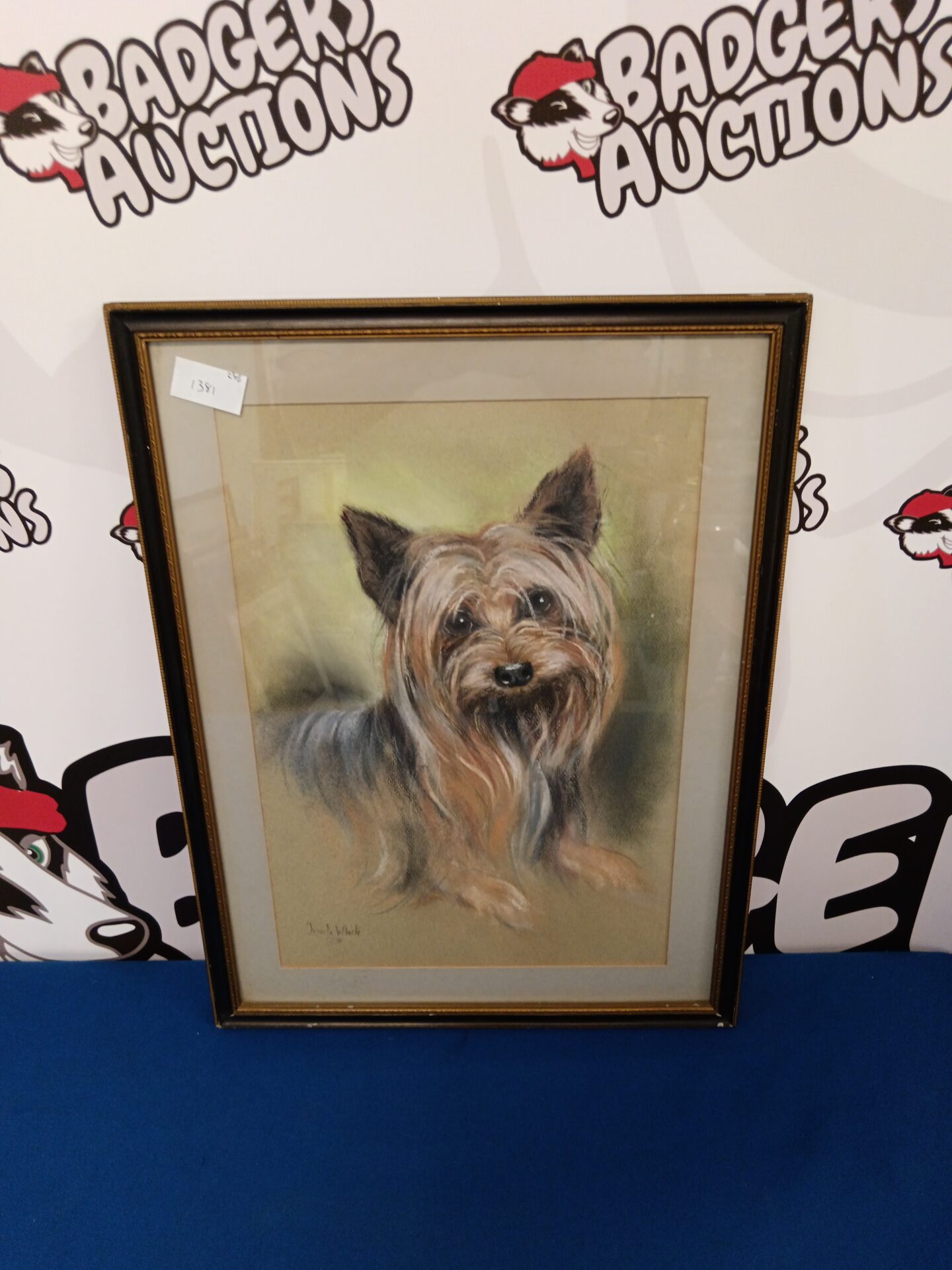 687 ursula white pastel study of yorkshire terrier