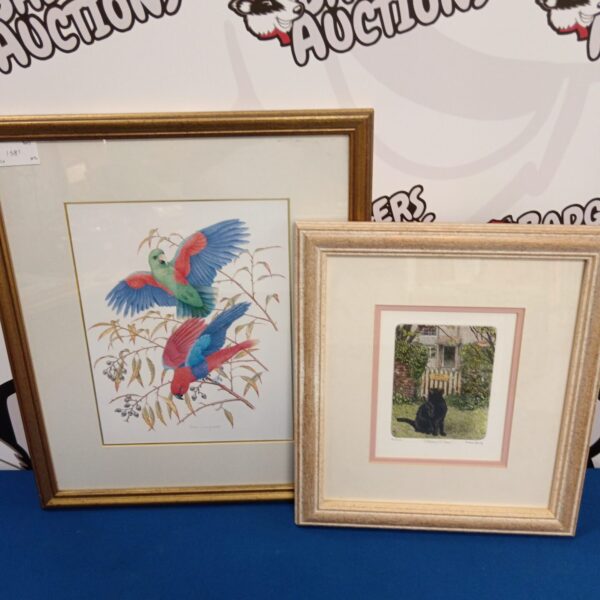 Framed limited edition cat etching by Laura Boyd.