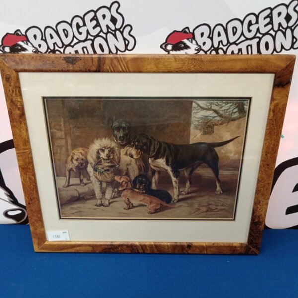 Antique 19th-century dog engraving, Victorian animal study print.