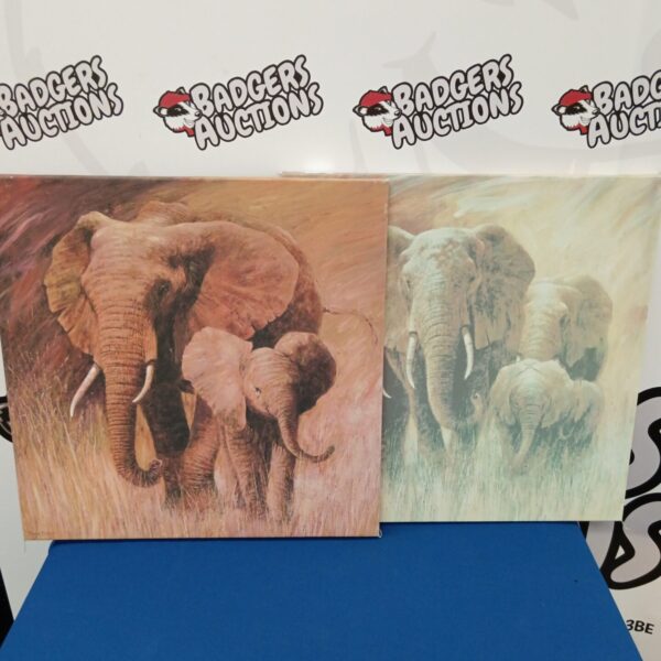 Pair of vintage elephant canvas prints for home decor.