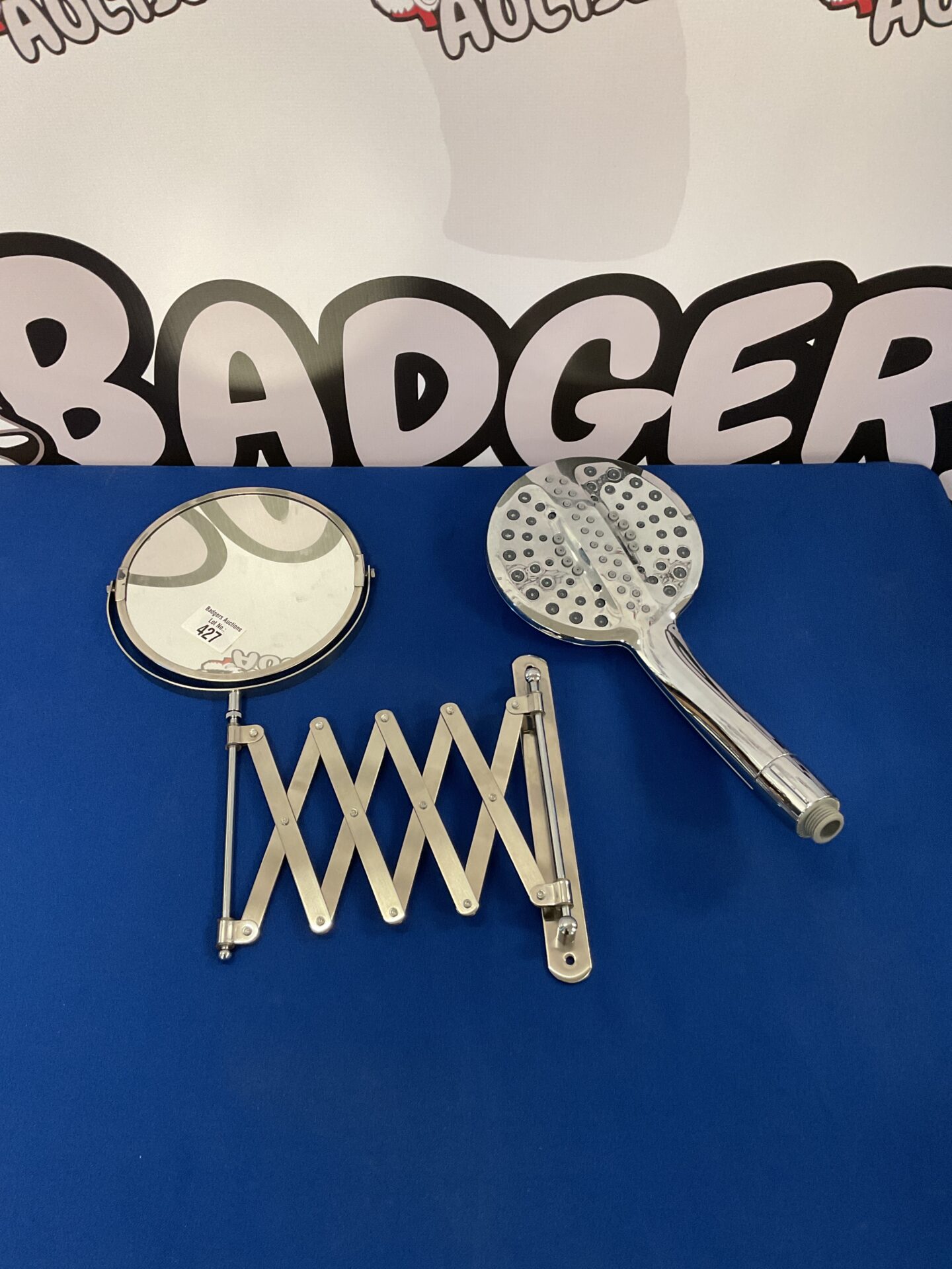 485 Extendable bathroom mirror and shower head