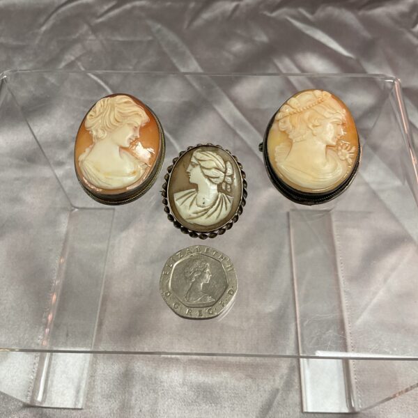 Silver-tone vintage cameo brooch with classical profile.