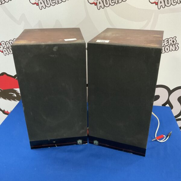 Pair of vintage Castle speakers in a home setting.
