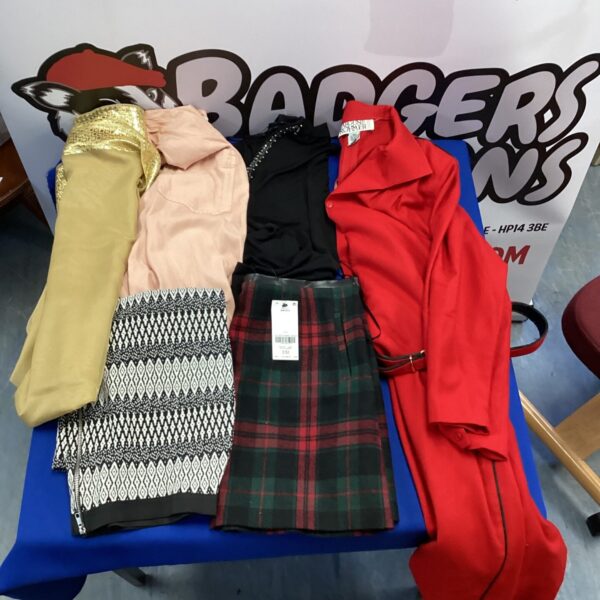 Ladies clothing bundle featuring Next and Caroline Rohmer skirts and tops.