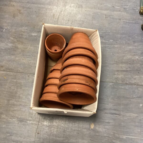 Lot of vintage terracotta plant pots for garden or indoor use.