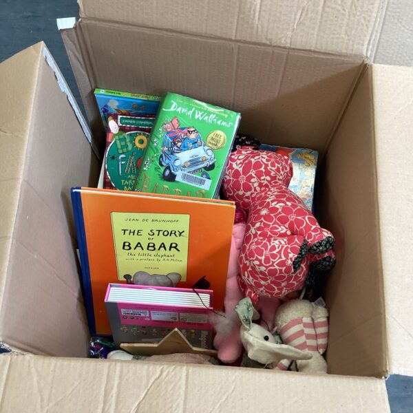 Mixed lot of children's books and toys, including David Walliams titles.