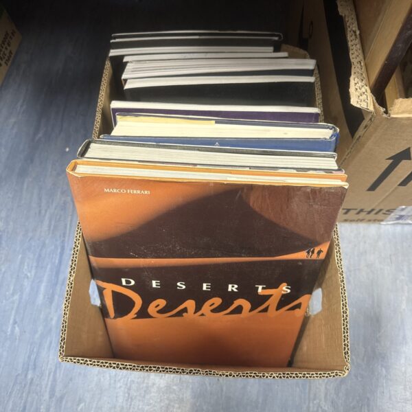 Stack of vintage tourism and art reference books.