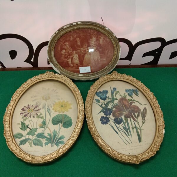 Vintage oval framed botanical print, antique wall decor.