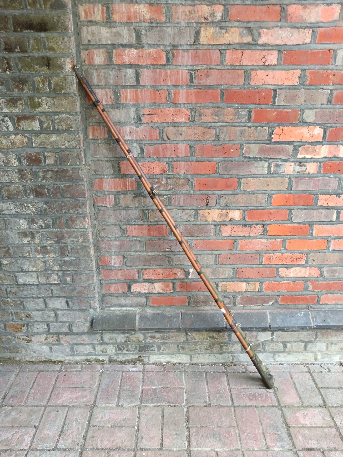 504 Fine vintage cane sea fishing rod
