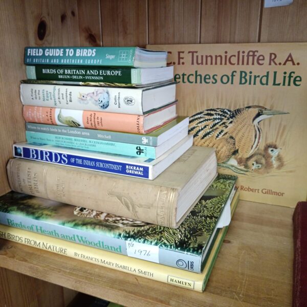 Vintage collection of bird books and field guides.
