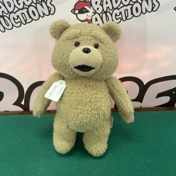 Front view of the Ted talking soft toy.