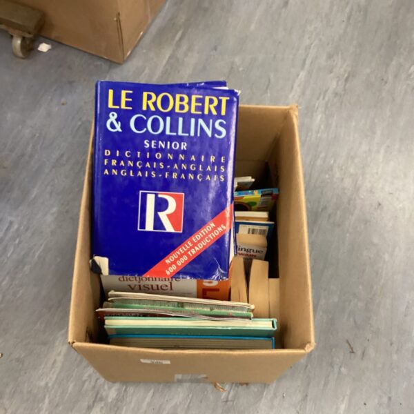 Mixed book lot featuring a Collins dictionary and other vintage paperbacks.
