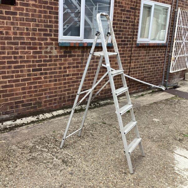 Aluminium step ladder leaning against a brick wall in a garden.