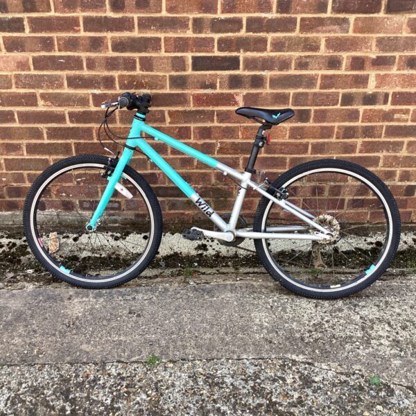 Blue Wild girls bike, children's mountain bicycle.