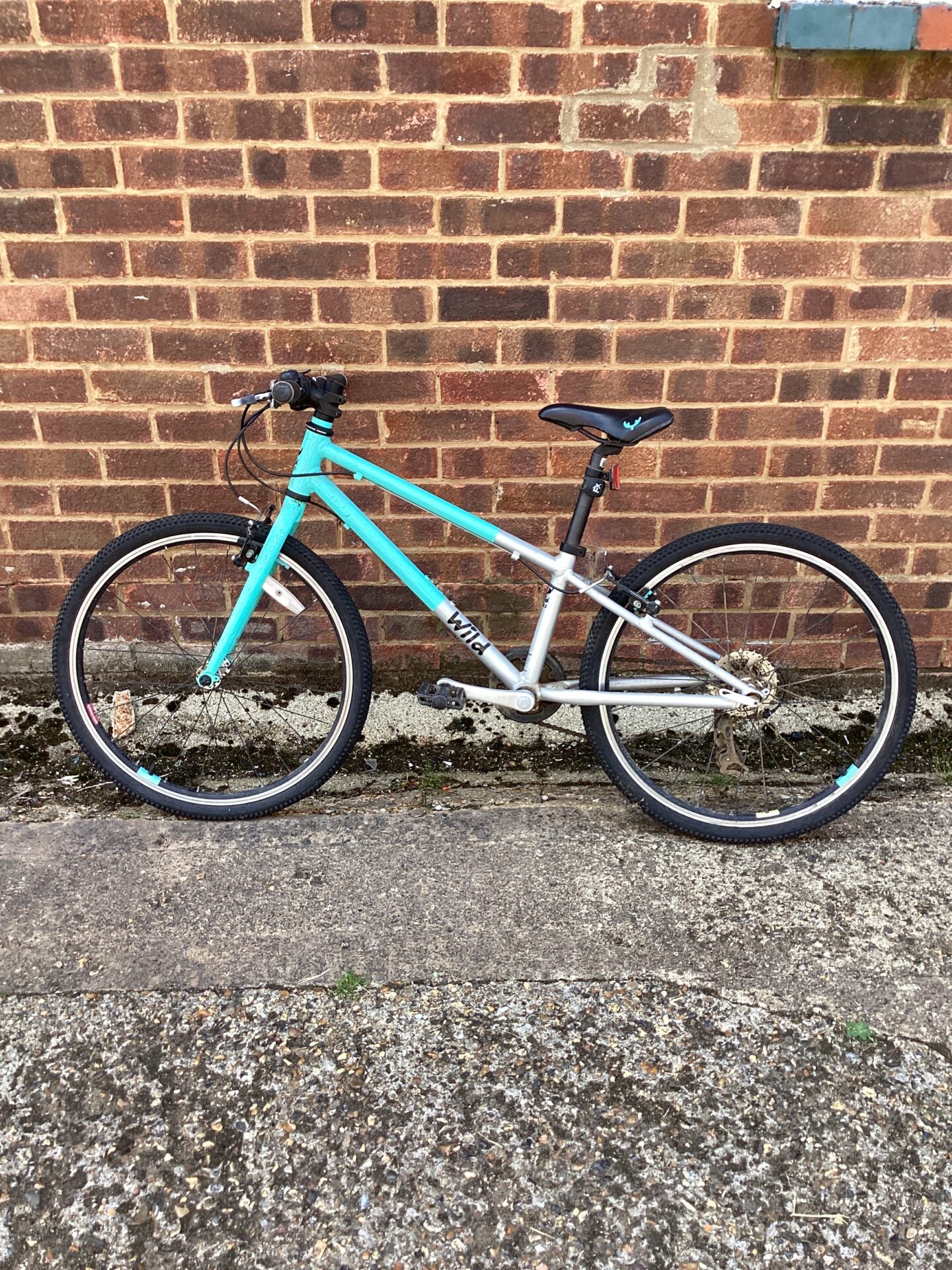 1202 Wild girls Bike