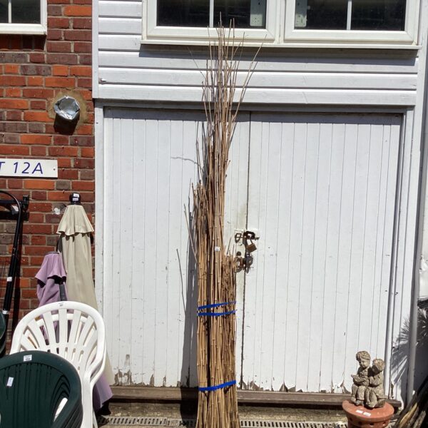Bundle of garden canes for plant support.