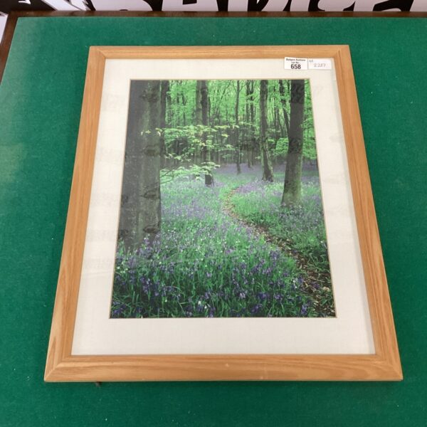 Framed photograph of a vibrant bluebell wood scene.