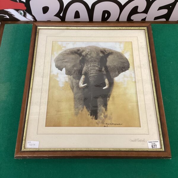 Signed David Shepherd elephant print, detailed wildlife artwork.