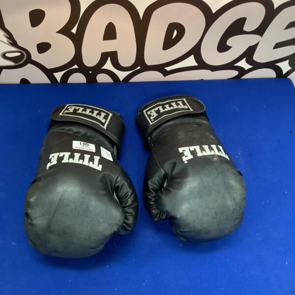 Used Title boxing gloves for training and sparring.