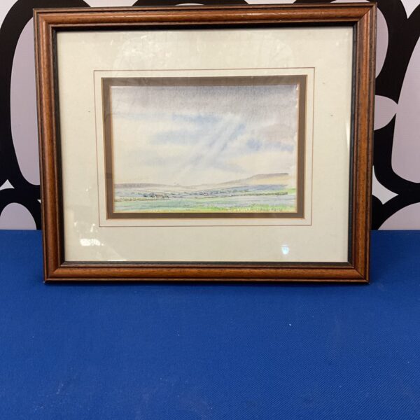 Signed Douglas A Herald watercolour painting of a coastal landscape.