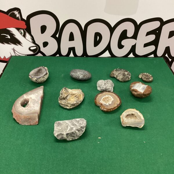 Diverse geode and fossil collection with unique crystal formations.