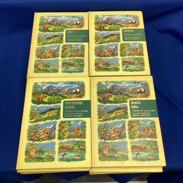 Vintage set of illustrated animal kingdom books, volumes 1 to 16.