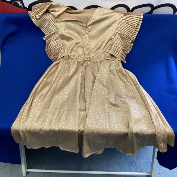 Shimmering gold dress with pleated detailing and a fitted bodice.