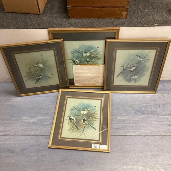 Framed Basil Ede bird print featuring a colourful bird perched on a branch.