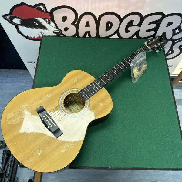 Vintage Elevation acoustic guitar with spare strings.