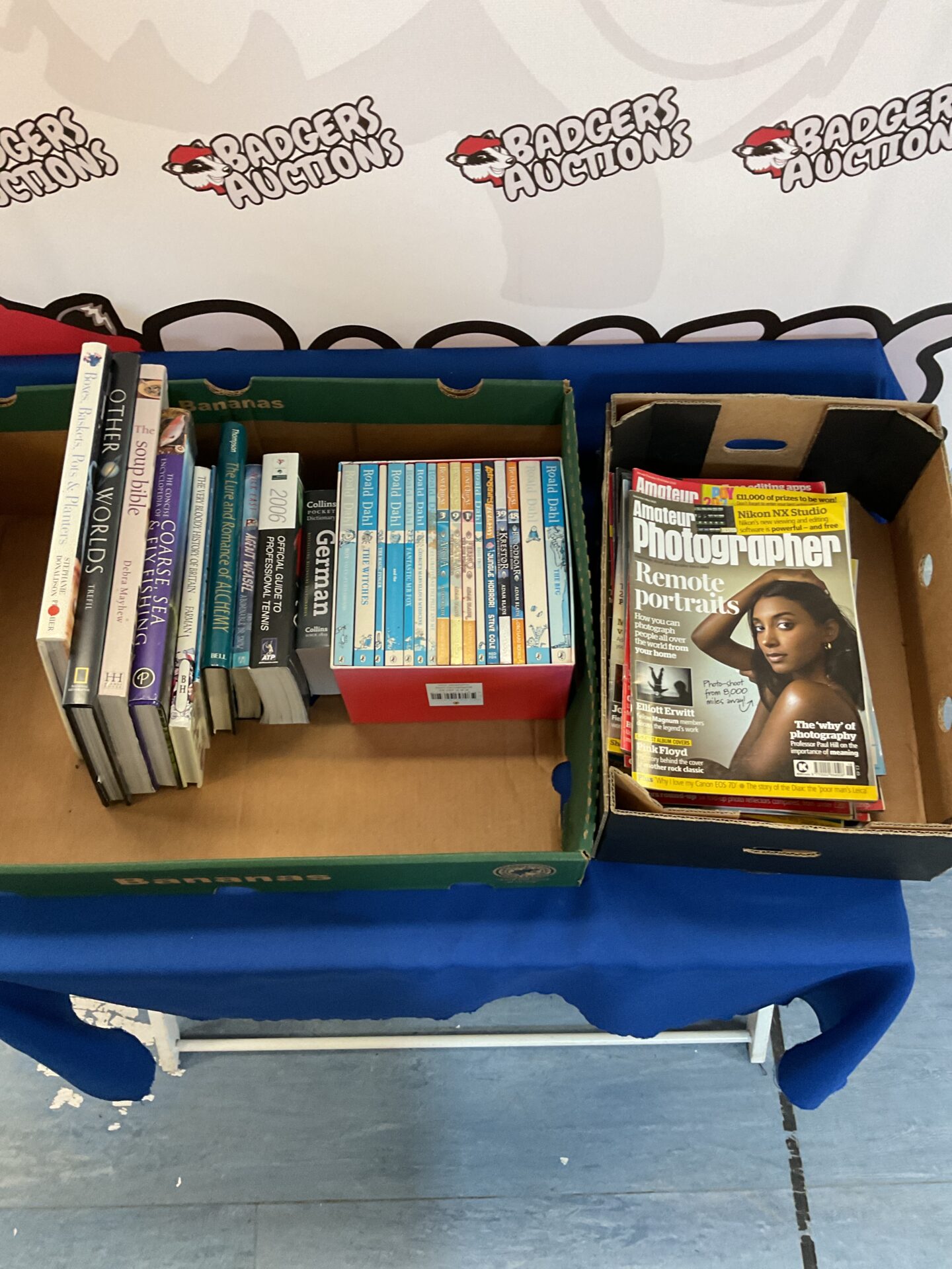 509 Tray of mixed books inc roald dahl & the lure & romance of alchemy with box of the amateur photographer