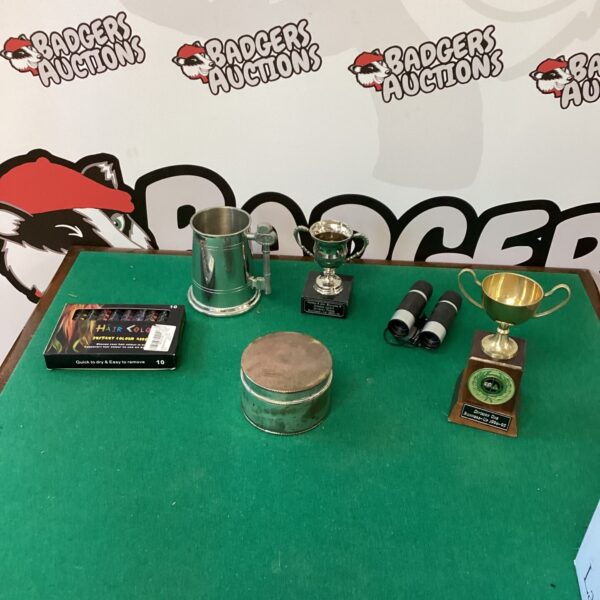 Vintage trophies lot including brass cup and ornate award.