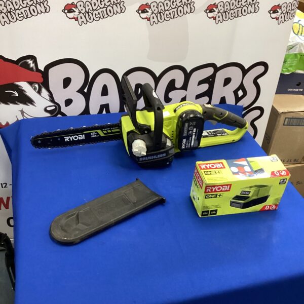 Ryobi ONE+ 18V cordless chainsaw for garden maintenance.
