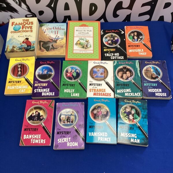 Vintage Enid Blyton book collection for collectors and readers.