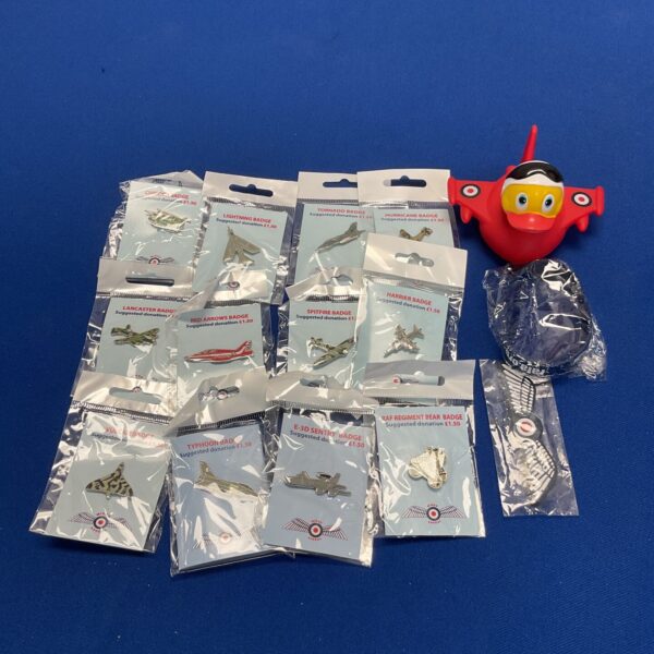 Collection of RAF pin badges and a rubber duck.