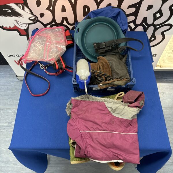 Assortment of dog accessories including coats and bowls.
