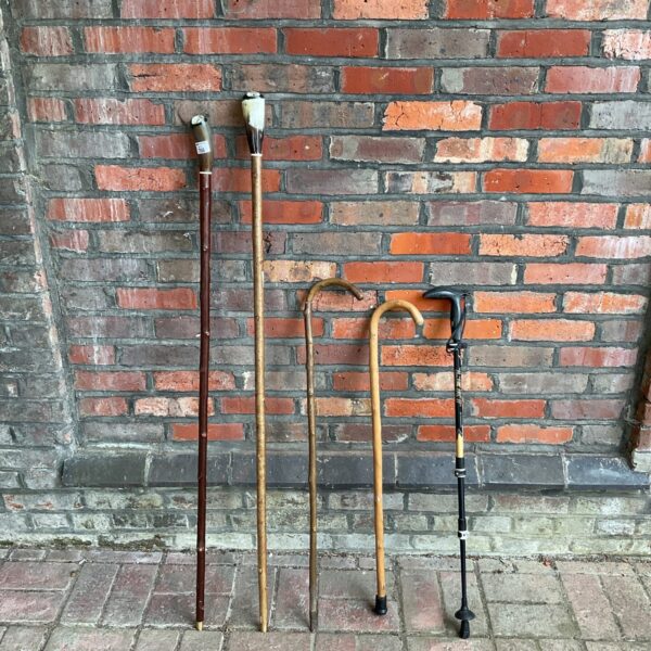 Collection of vintage walking sticks with wooden shafts and handles.