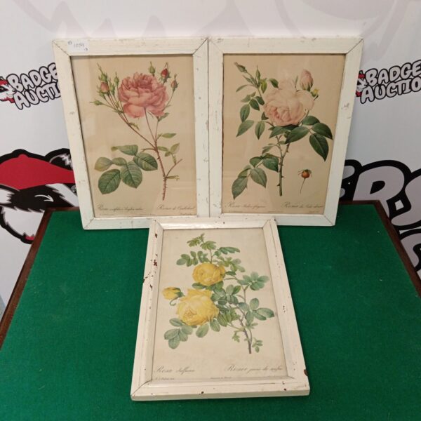 Framed set of three antique Redoute rose prints for botanical art collectors.