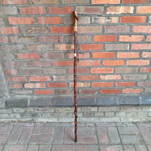 Rustic walking stick with badger emblem leaning against brick wall.