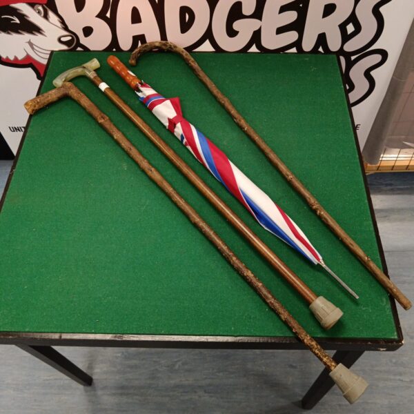 Vintage bundle of walking sticks and umbrella, antique collectables.