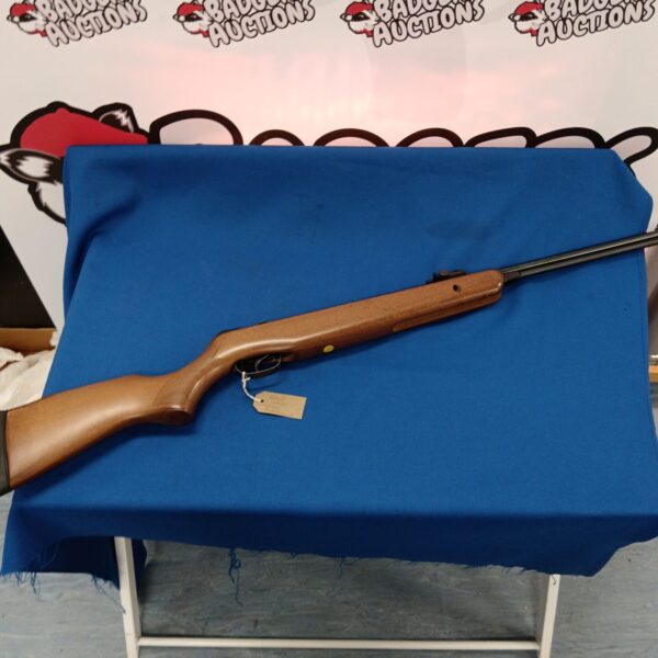 Gamo CF30 .22 air rifle with wooden stock.
