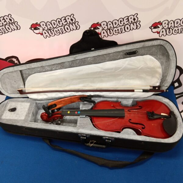 Gear4music 12v-100 violin in its hard case, musical instrument.