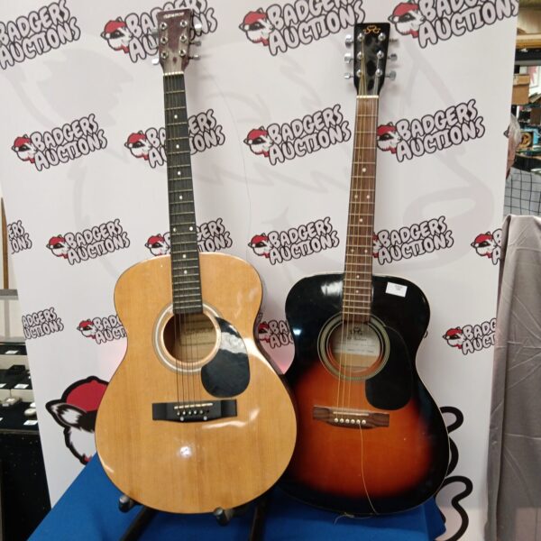 Pair of vintage acoustic guitars, Elevation and SX brands.