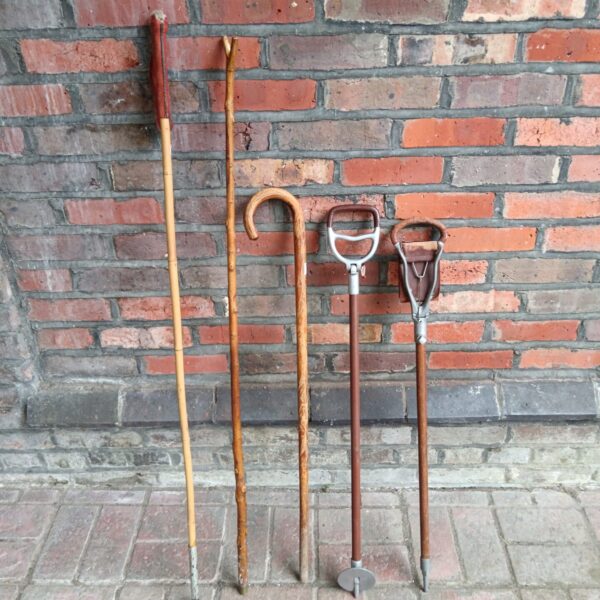 Vintage walking sticks and shooting sticks in a collection.