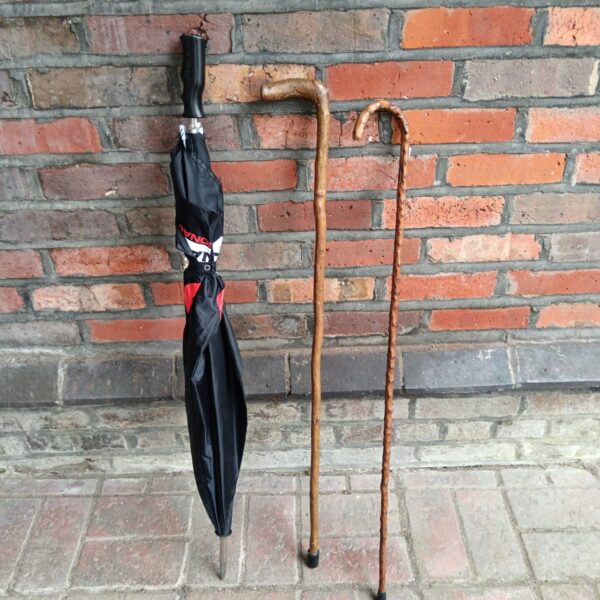 Vintage walking sticks and a Donnay umbrella displayed together.
