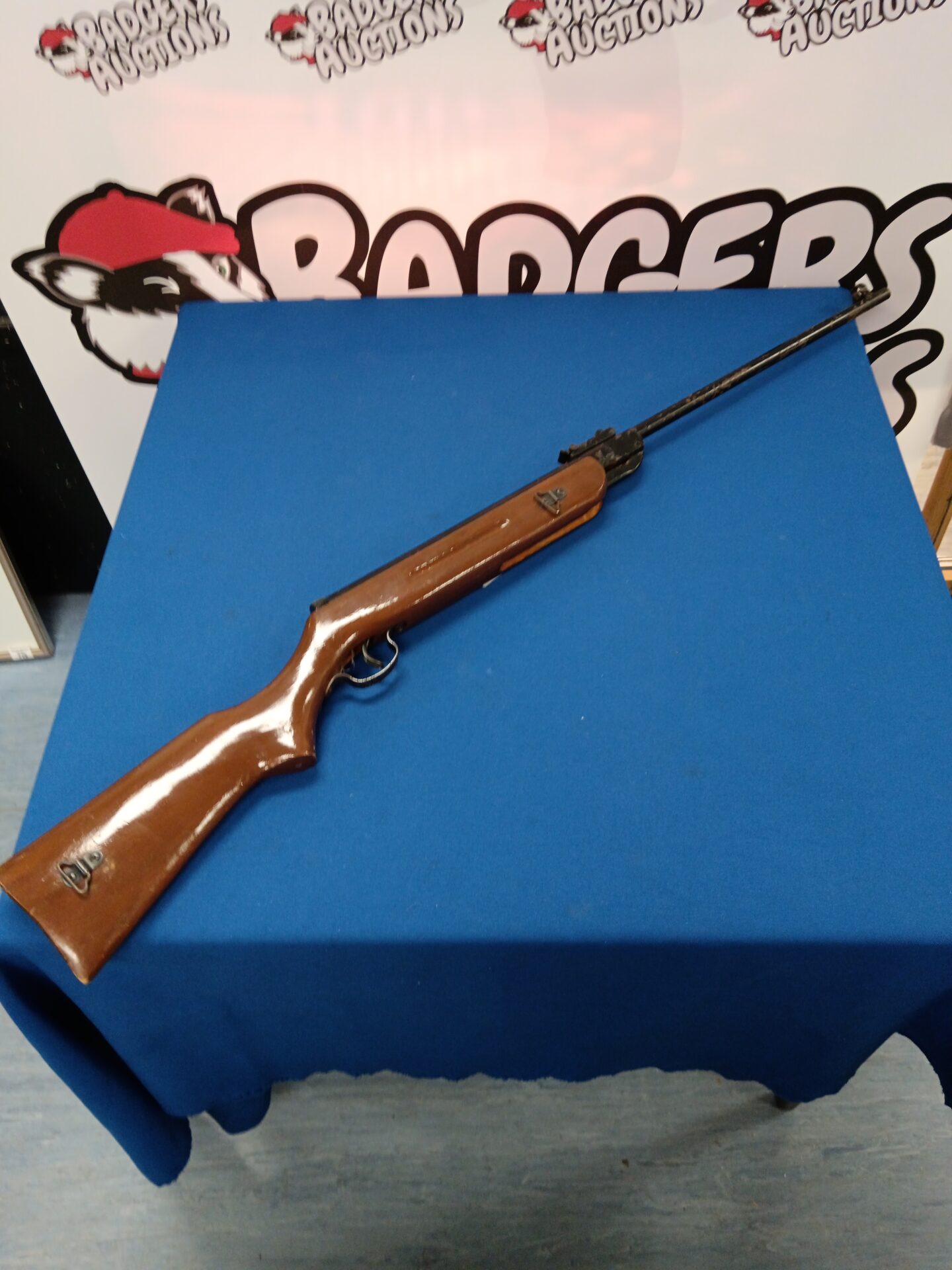 749 West lake Chinese air rifle